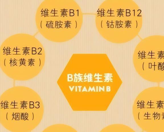 微量元素有哪些(微量元素有什么作用)-硒宝网