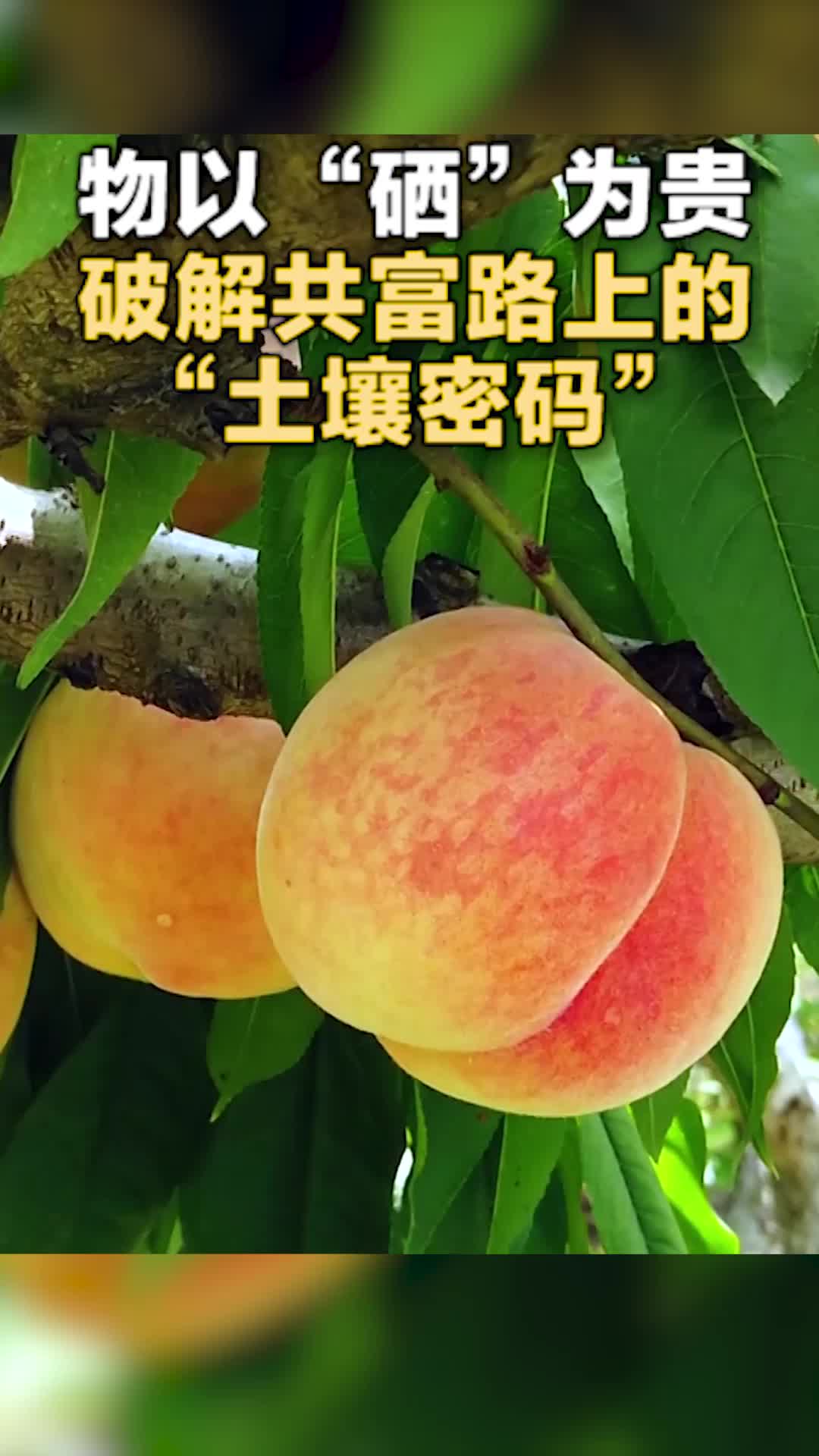 食用硒单质补硒原理（硒的补充）-硒宝网