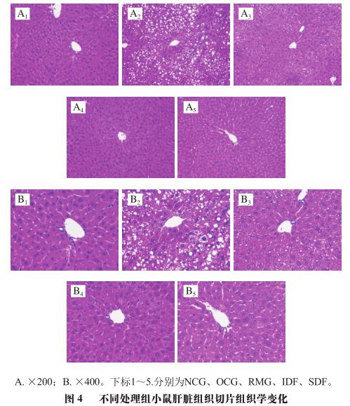 硒酵母作为补硒剂量（硒酵母用量）-硒宝网