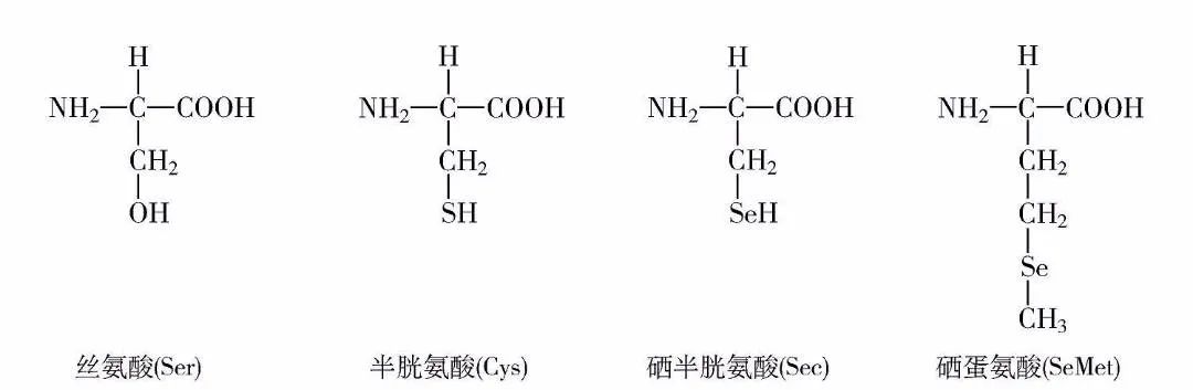 儿童补硒植物活性硒(硒对儿童)-硒宝网