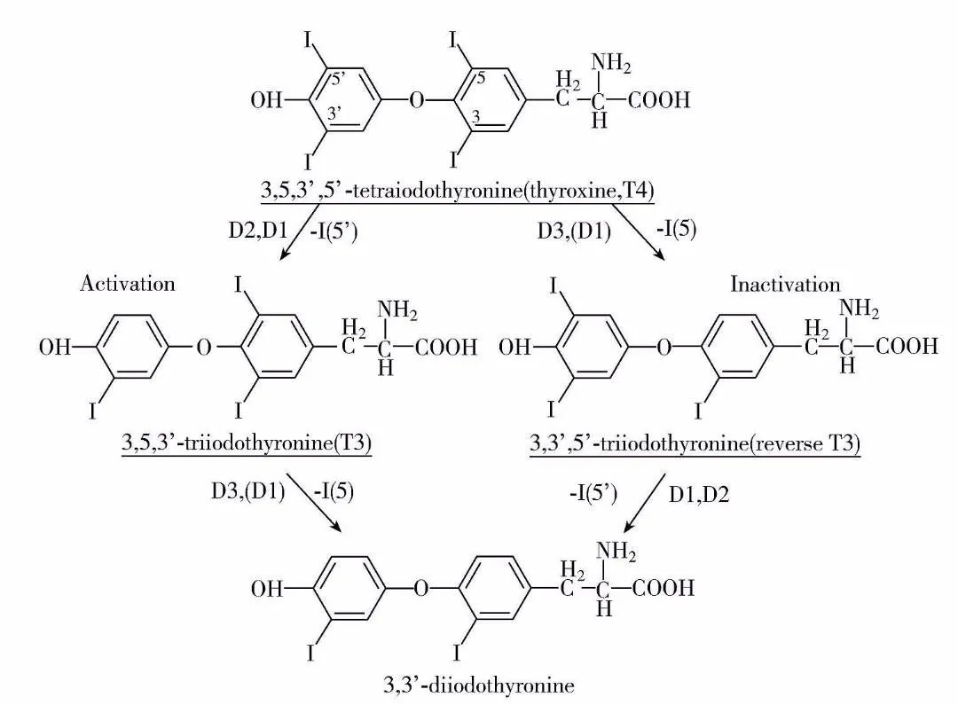 儿童补硒植物活性硒(硒对儿童)-硒宝网