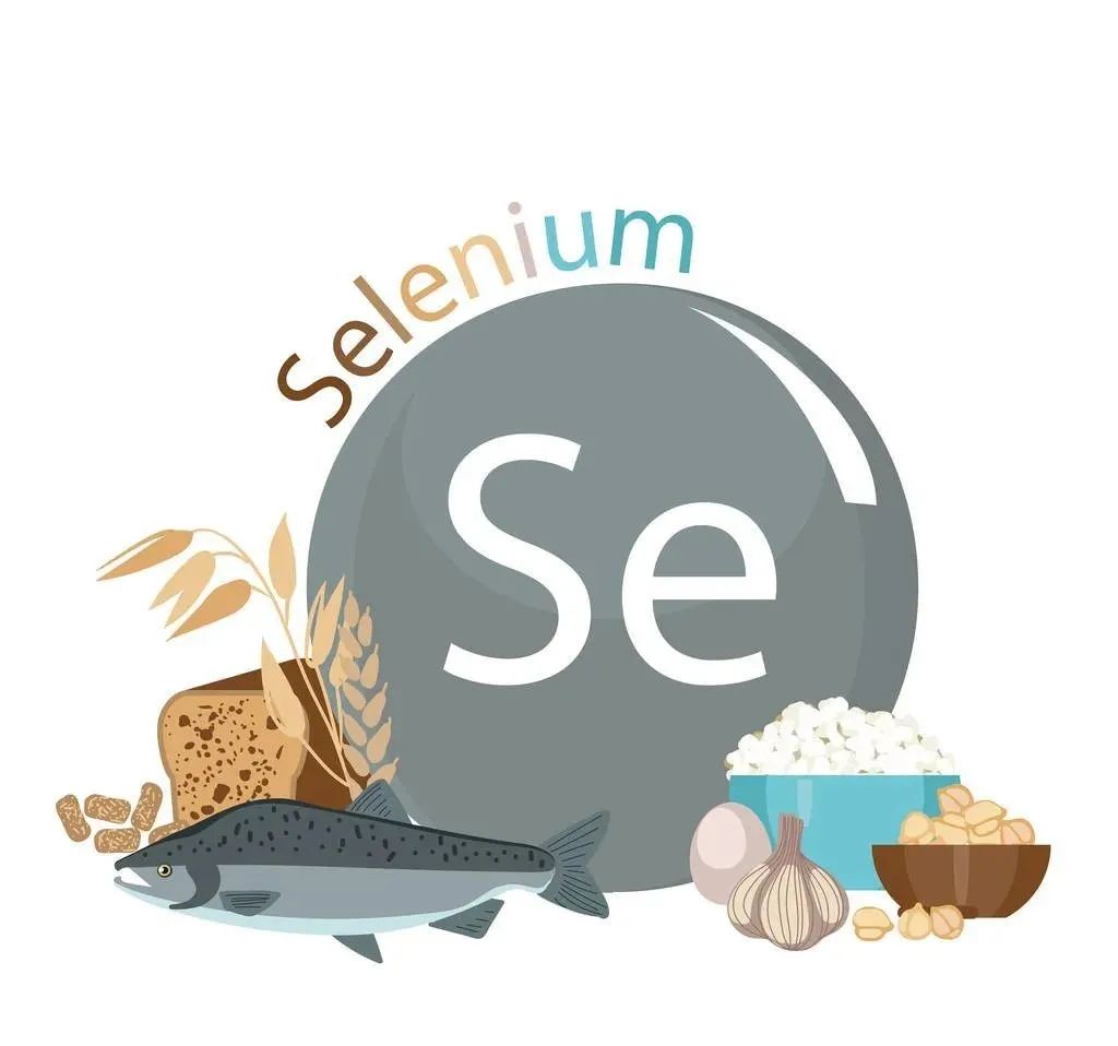 儿童补硒植物活性硒(硒对儿童)-硒宝网