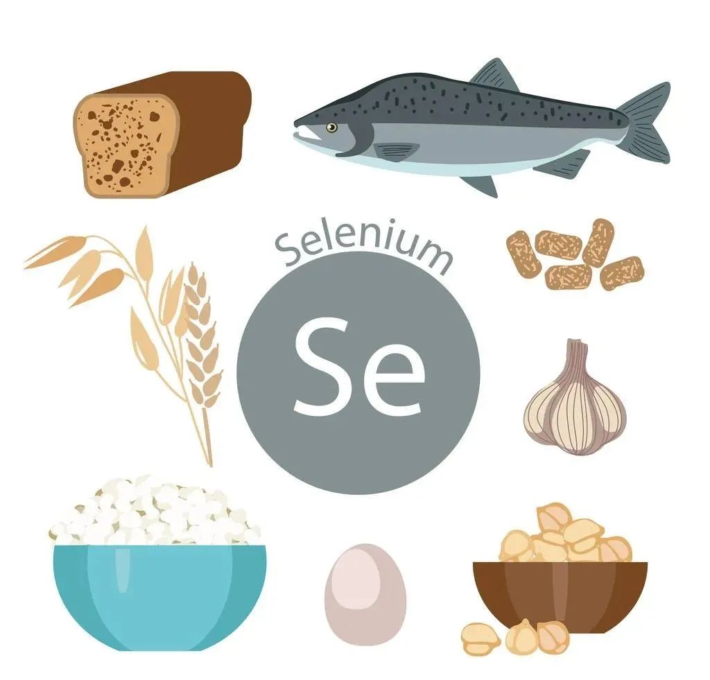 儿童补硒植物活性硒(硒对儿童)-硒宝网