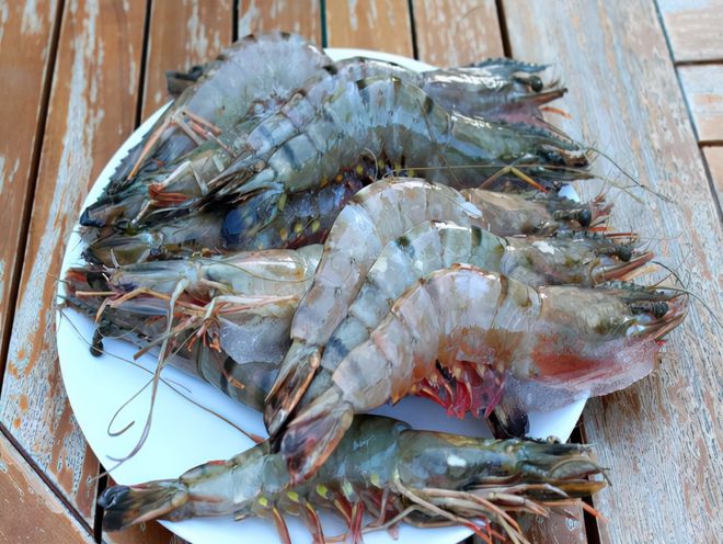 吃什么可以补微量元素（补微量元素会发胖吗）-硒宝网