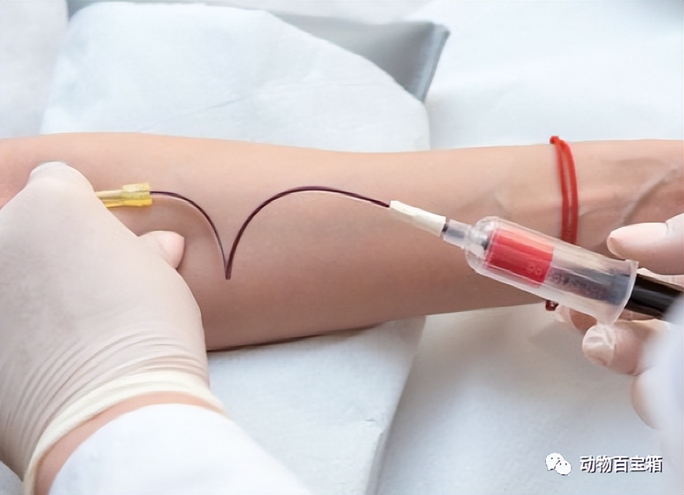 儿童查微量元素多少钱（查微量元素钱儿童能查吗）-硒宝网