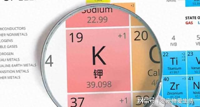 儿童查微量元素多少钱（查微量元素钱儿童能查吗）-硒宝网