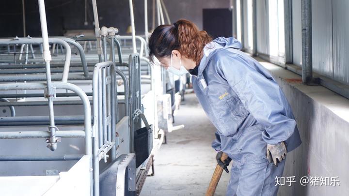 母猪产前补硒补多少(母猪补硒的方式)-硒宝网