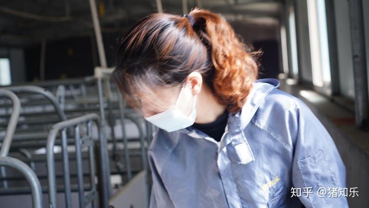 母猪产前补硒补多少(母猪补硒的方式)-硒宝网