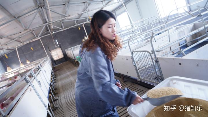 母猪产前补硒补多少(母猪补硒的方式)-硒宝网