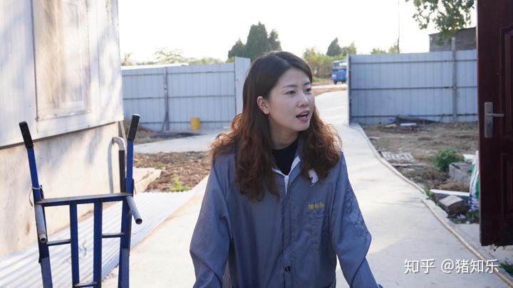 母猪产前补硒补多少(母猪补硒的方式)-硒宝网