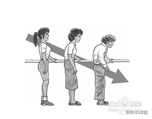 中医补钙(中医补钙吃什么)-硒宝网