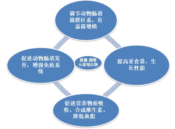 人体必需的微量元素(必需人体微量元素有哪些)-硒宝网