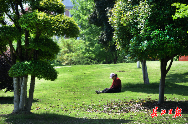 晒太阳补钙吗（晒太阳补钙需要直晒太阳吗）-硒宝网