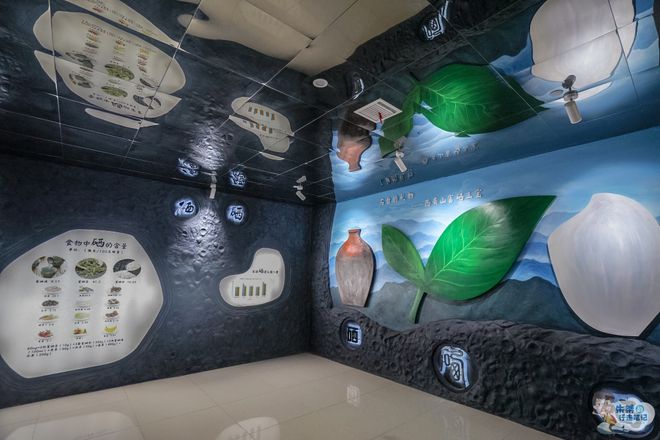 富硒地区还可以补硒（补硒只要是富硒就行吗）-硒宝网