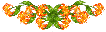 中医补钙（中医补钙的食物）-硒宝网