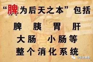 中医补钙(中医补钙最简单的方法)-硒宝网