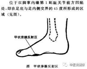 中医补钙(中医补钙最简单的方法)-硒宝网