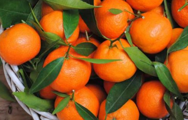 儿童补钙吃什么食物（少儿补钙食物）-硒宝网