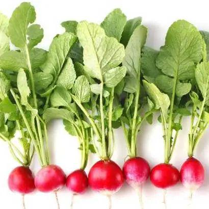 缺钙吃什么菜能补钙（菜补钙）-硒宝网
