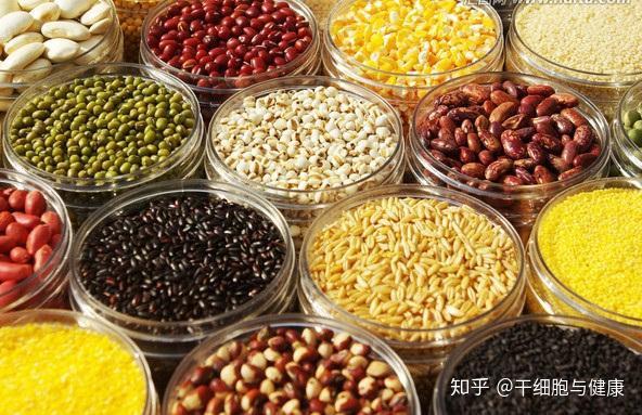 人体必需8种微量元素(必需人体微量元素种类有多少)-硒宝网