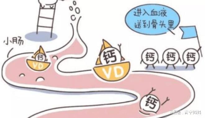 婴儿如何补钙(婴儿补钙什么时候吃最好)-硒宝网