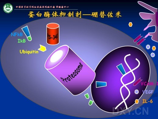 微量元素定义(微量定义元素是指什么)-硒宝网