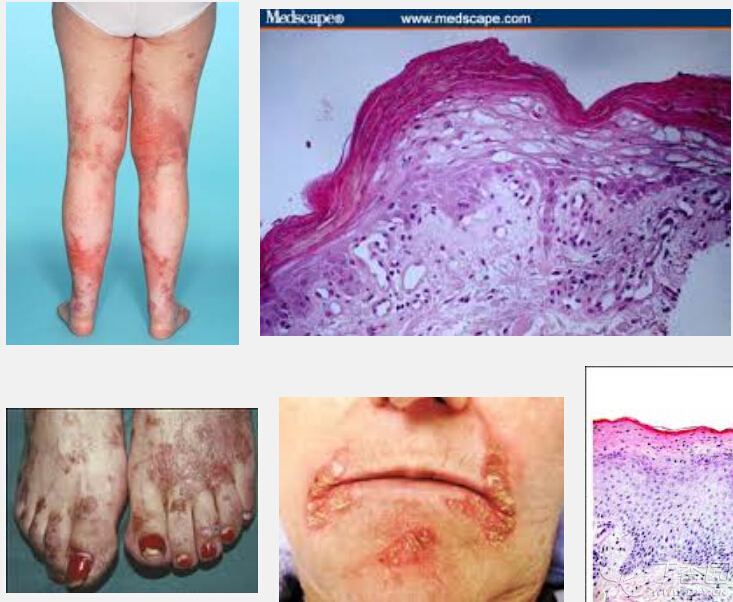 人体必需8种微量元素(人体必需微量元素的种类)-硒宝网