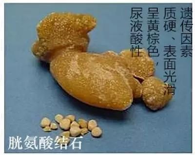 补钙的食物(食物补钙有哪些食物是最好)-硒宝网