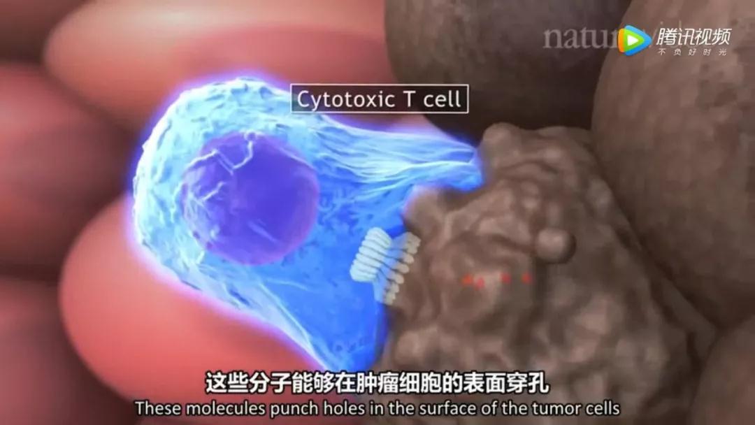 身体不缺硒能补硒吗(硒缺乏吃什么好)-硒宝网