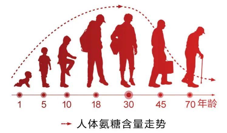 过量补钙(过量补钙会导致骨骼闭合吗)-硒宝网