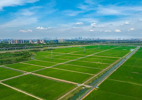 富硒农产品补硒效果（富硒农药）-硒宝网