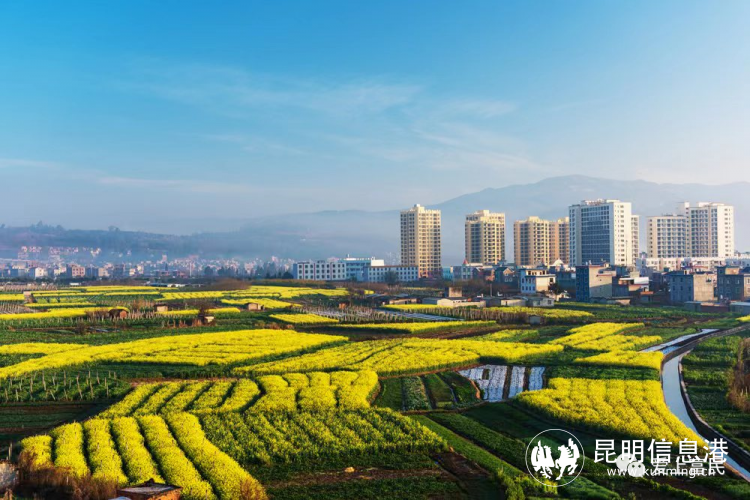 富硒农产品补硒效果（富硒农药）-硒宝网