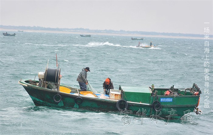 虾皮补钙吗（补钙虾皮怎么吃）-硒宝网