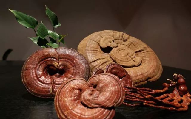 人体缺硒怎么样补硒（硒缺乏是什么?。?硒宝网