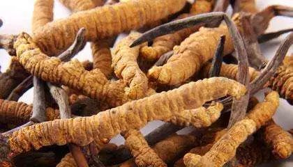 人体缺硒怎么样补硒（硒缺乏是什么病）-硒宝网