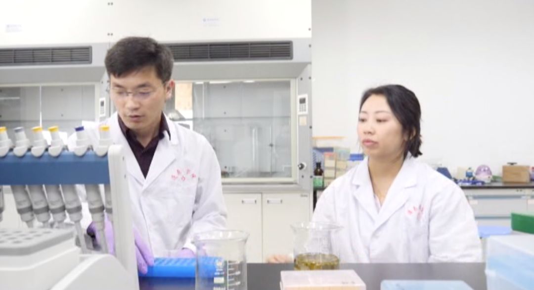 喝锌硒茶可以补硒吗(吃锌硒片能喝茶吗)-硒宝网