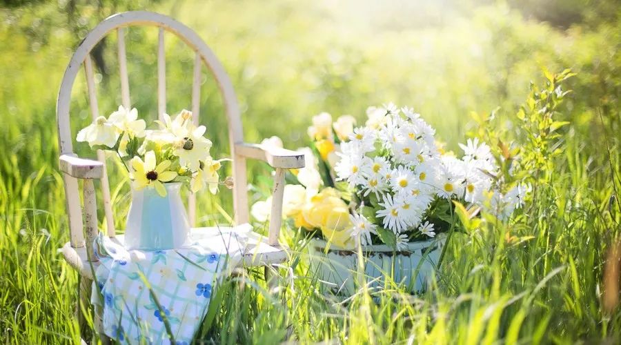 不是缺硒者能补硒吗(硒缺乏会怎么样)-硒宝网