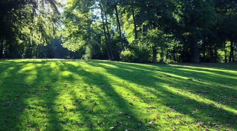 不是缺硒者能补硒吗(硒缺乏会怎么样)-硒宝网