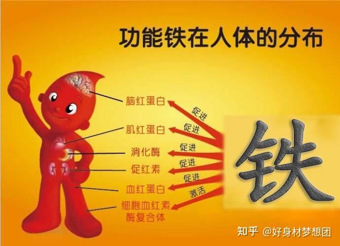 补钙可以长高吗（长高补钙可以长高吗）-硒宝网