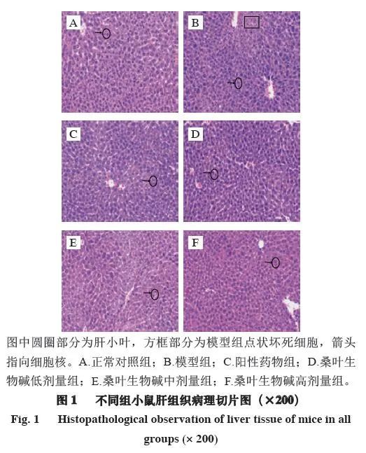 补硒是吃硒酵母片吗（硒酵母补片吃是饭前吃吗）-硒宝网
