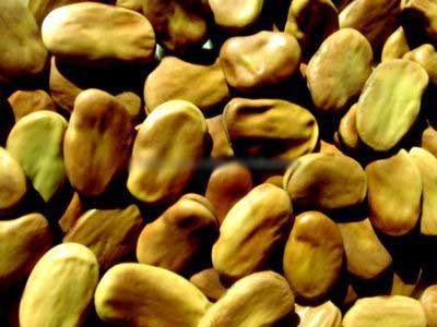 怎么补铁(补铁的药有哪些)-硒宝网