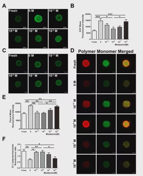 宝宝补钙食物（食物补钙宝宝会便秘吗）-硒宝网