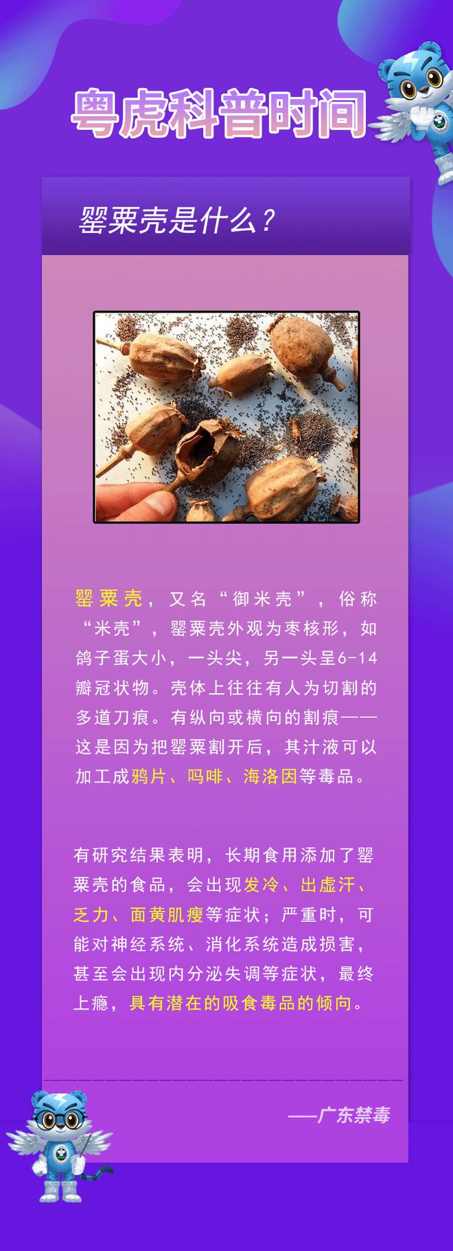 哪些食物补铁(什么食物补铁)-硒宝网