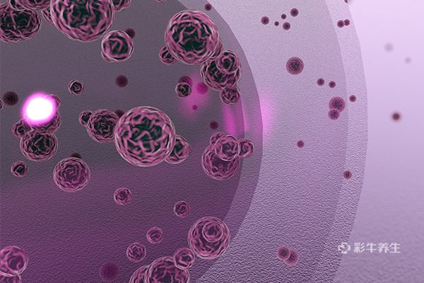 哪些食物补铁(什么食物补铁)-硒宝网