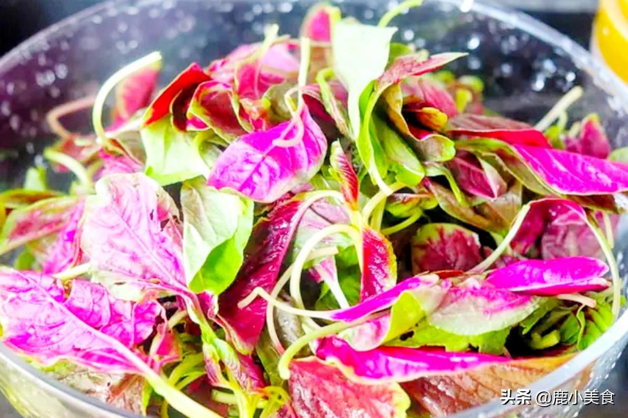 什么蔬菜补钙（蔬菜补钙排名）-硒宝网