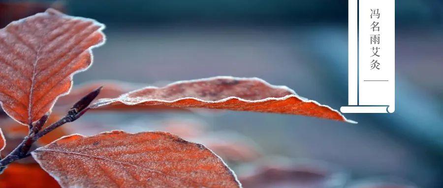 老人如何补钙（补钙老人吃什么牛奶好）-硒宝网