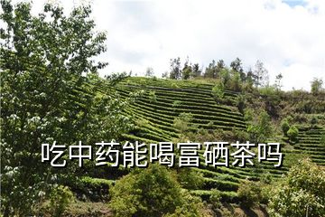 喝富硒茶能补多少硒(能喝补茶富硒硒茶吗)-硒宝网