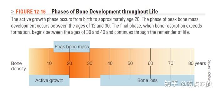 老人如何补钙(补钙老人吃什么)-硒宝网