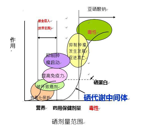癌症补硒怎么补的好（癌症病人补硒的骗局）-硒宝网