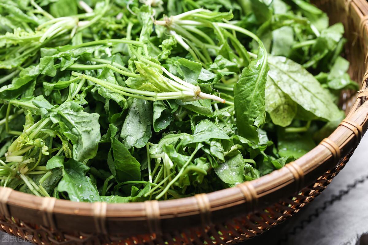 什么蔬菜补钙（吃什么蔬菜补钙）-硒宝网